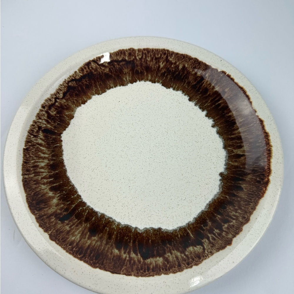Pfaltzgraff Country Casual 9" Dinner Plate Brown Drip Glaze